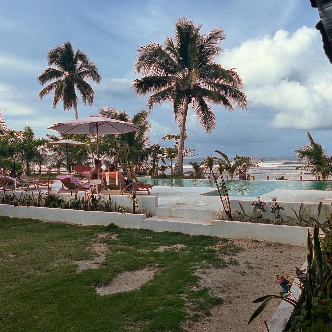 Tropical garden