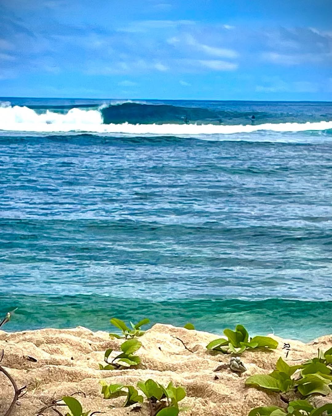 Surf waves